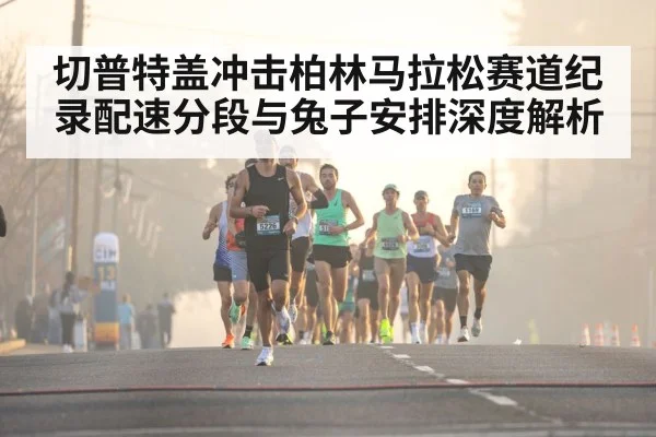 切普特盖冲击柏林马拉松赛道纪录配速分段与兔子安排深度解析